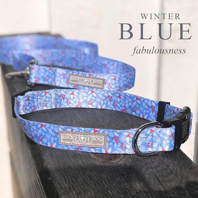 Lucky Love Dog Martingale Dog Collar & Leash - Adjustable, No-Slip, Durable, Comfortable, Soft Webbing, & Stylish Patterned Collar & Leash Set for Male and Female Dogs - Winterblue Combo, Medium