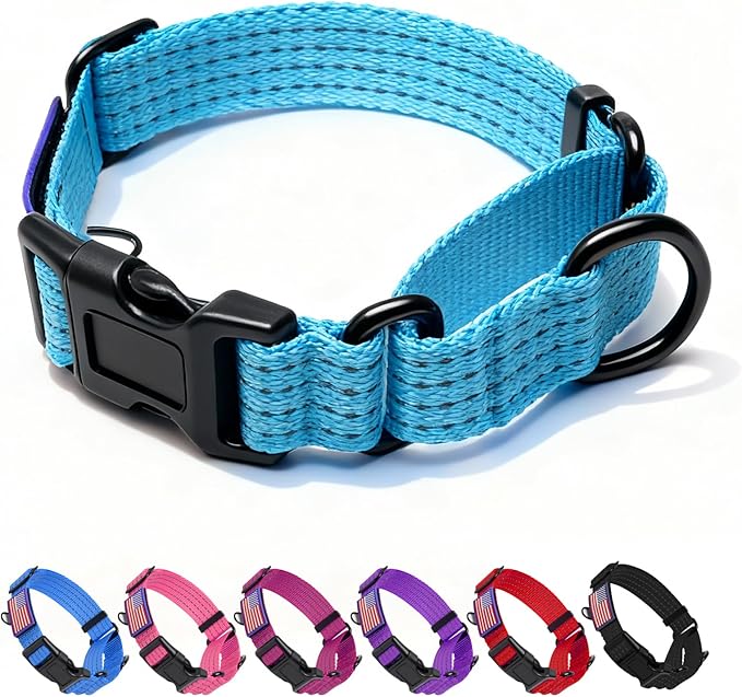 Martingale Collar for Dogs, Reflective Heavy Duty with Quick Release Nylon Buckle-USA Flag-No Pull Training Choker for Walking, Training, Sky Blue,L