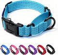 Martingale Collar for Dogs, Reflective Heavy Duty with Quick Release Nylon Buckle-USA Flag-No Pull Training Choker for Walking, Training, Sky Blue,L