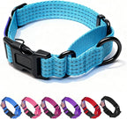 Martingale Collar for Dogs, Reflective Heavy Duty with Quick Release Nylon Buckle-USA Flag-No Pull Training Choker for Walking, Training, Sky Blue,L