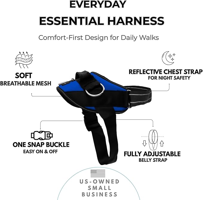 ShawnCo Essential Dog Harness, No-Pull Pet Vest with 3 Leash Clips, No Choke, Reflective, Adjustable and Padded, for Easy Walking and Training for Small, Medium and Large Dogs (Electric Blue,XS)