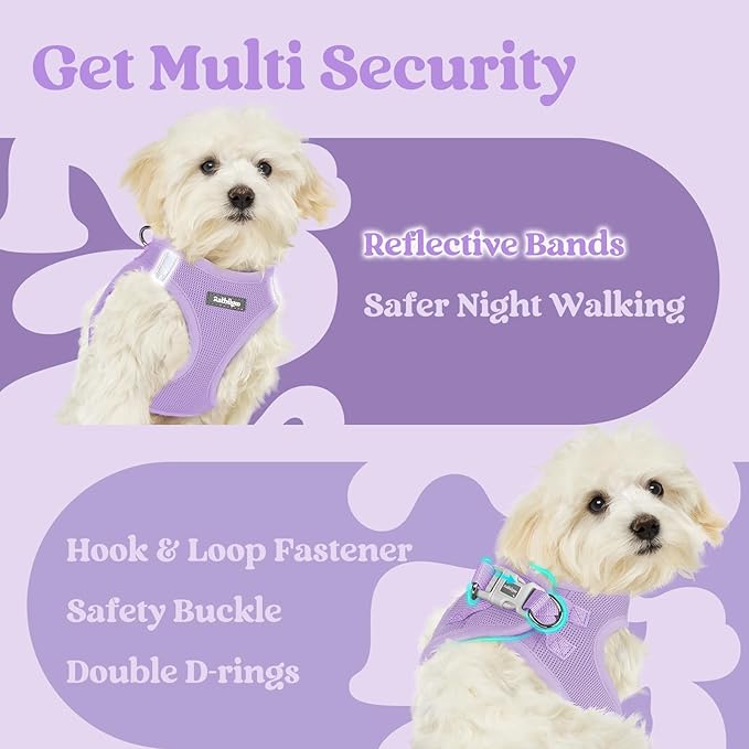 rabbitgoo Small Dog Harness, Step-in Soft Mesh Puppy Vest with Safety Buckle, Breathable Reflective Pet Harness for Extra Small Dogs, Light Purple XXS