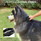 Tactical Dog Collar with Handle - Military Adjustable Dog Training Collar Soft Nylon and Heavy Duty Metal Buckle for Medium Large Dogs - with Patch (Black, X-Large)