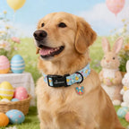 ARING PET Easter Dog Collar, Cute Mint Green Chick Egg Floral Pet Collars with Quick Release Buckle for Puppy Small Medium Large Boy Girl Dogs-L