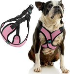 Gooby Comfort X Step in Lite Dog Harness - Choke Free, Escape Free with Light Breathable Mesh - Step in Dog Harness for Small Dogs Only - Quick Release Buckle, Metal D-Rings - Pink, Small