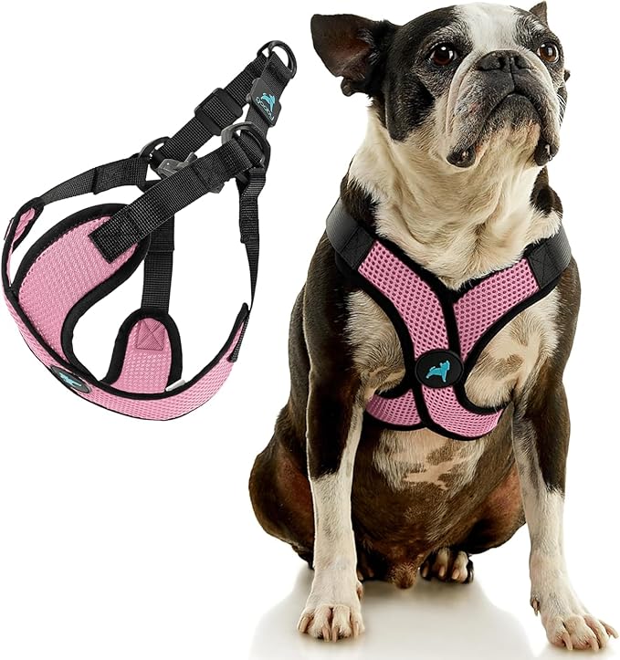 Gooby Comfort X Step in Lite Dog Harness - Choke Free, Escape Free with Light Breathable Mesh - Step in Dog Harness for Small Dogs Only - Quick Release Buckle, Metal D-Rings - Pink, X-Small