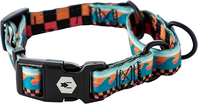 Wolfgang Heavy Duty Martingale Dog Collar with Quick Release Nylon Buckle for Walking & Training, BuenaOnda Print, Small