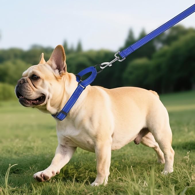 Martingale Collar for Dogs with Quick Release Buckle, Reflective Soft Padded & Escape Proof, Adjustable Nylon Dog Collars for Training & Daily Walking (Royal Blue,S)