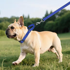 Martingale Collar for Dogs with Quick Release Buckle, Reflective Soft Padded & Escape Proof, Adjustable Nylon Dog Collars for Training & Daily Walking (Royal Blue,S)
