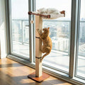Sintuff Cat Window Perch with Scratching Post Climbing Tree Hammock Mounted with Suction Cups 46 Inch Tall Adjustable Narrow Cat Tree Climbing Pole for Playing Sleeping Watching Birds(Square)