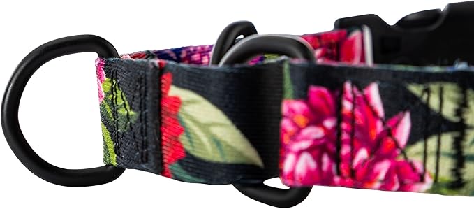 Wolfgang Heavy Duty Martingale Dog Collar with Quick Release Nylon Buckle for Walking & Training, DarkFloral Print, Extra Large