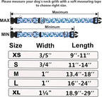 Martingale Collar for Dogs with Buckle Nylon Slip No Pull Training Dog Collars (Blue Butterfly, XSmall)