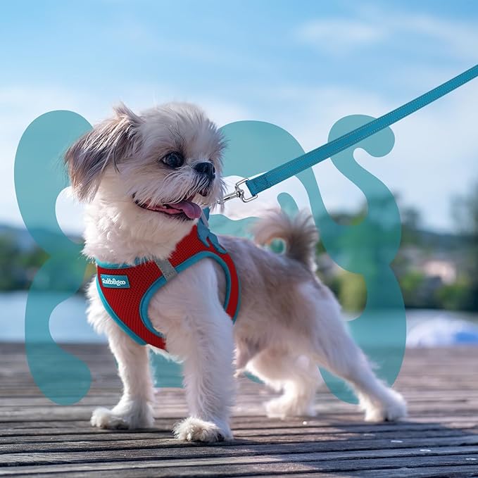rabbitgoo Dog Harness Small Sized and Leash Set, Step-in Breathable Pet Harness, Soft Walking Reflective Puppy Vest for Small Dogs, Red & Teal, XXS