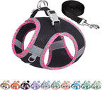 AIITLE Dog Harness and Leash Set - Ultra-Comfortable Vest with Strong Magic Tape & Glow-in-Dark Reflective Strips, Chafe-Free for Teddy, Schnauzer (Black, M)