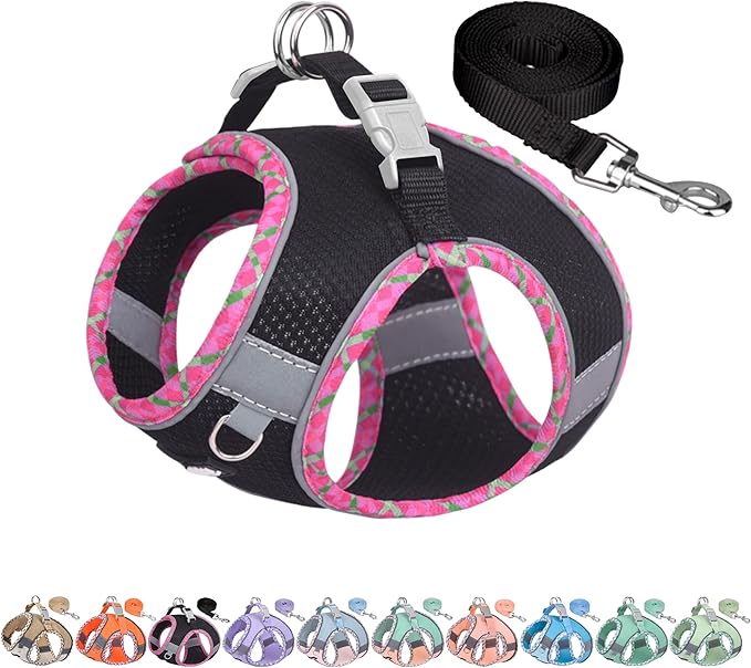 AIITLE XXS Dog Harness & Leash Set - Breathable Reflective No-Choke Small Dog Harness for Teacup Puppies, Indoor/Outdoor Use - Boston Terrier, Maltese, Chihuahua(Black, XXS)