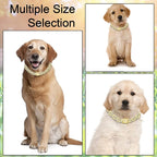 Metal Diamond Dog Chain Dog Training Chain with Secure Buckle Pet Collars for Large Medium Dogs