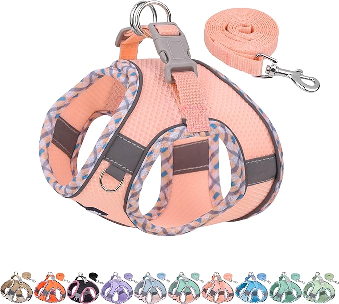 AIITLE XXS Dog Harness & Leash Set - Breathable Reflective No-Choke Small Dog Harness for Teacup Puppies, Indoor/Outdoor Use - Boston Terrier, Maltese, Chihuahua (Pink, XXS)