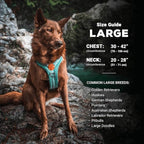 Wilderdog Lightweight Dog Harness with Reflective Straps - Large - Huckleberry