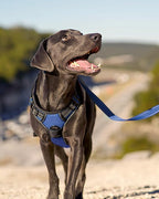 Joytale No Pull Dog Harness for Small Dogs, Reflective Pet Vest with Front Clip, Adjustable Soft Padded Harnesses with Easy Control Handle for Training and Walking, Navy Blue, S