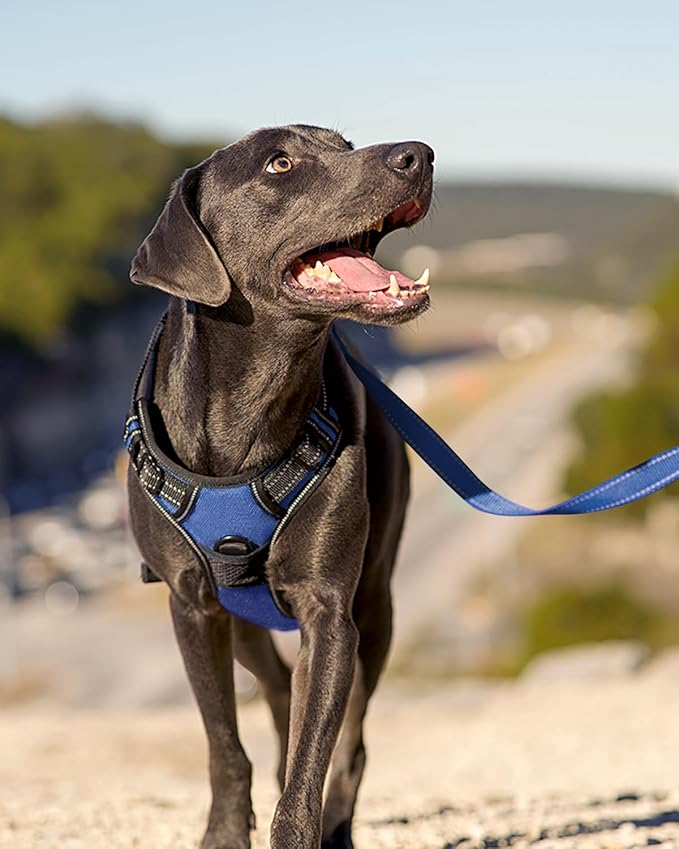 Joytale No Pull Dog Harness for Extra Large Dogs, Reflective Pet Vest with Front Clip, Adjustable Soft Padded Harnesses with Easy Control Handle for Training and Walking, Navy Blue, XL