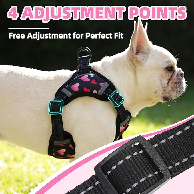 PUPTECK No Pull Dog Harness Small Sized Dog, Adjustable Reflective Escape Proof Easy Control, Comfortable Soft Padded Step in Pet Vest Harness, Heart, S