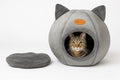 WNPL Cat Bed for Indoor Cats - Cat Bed Cave Washable, Soft Plush, Removable Pillow, Non-Slip Base, Large Cave with Toy Balls for Kitty and Small Animals (XL) 16x16x16 inch