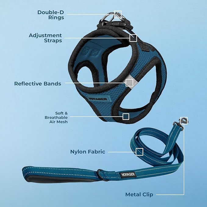 Best Pet Supplies Voyager Step-in Air All Weather Mesh Harness and Reflective Dog 5 ft Leash Combo with Neoprene Handle, for Small, Medium and Large Breed Puppies - Blue/Black Trim, Medium