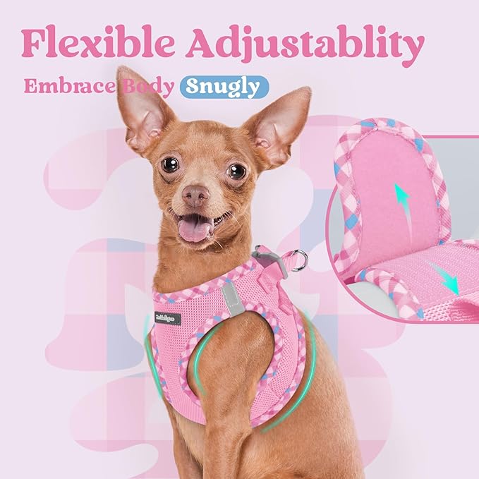 rabbitgoo Small Dog Harness, Step-in Soft Mesh Puppy Vest with Safety Buckle, Breathable Reflective Pet Harness for Small Sized Dogs, Pink & Plaid Trim S