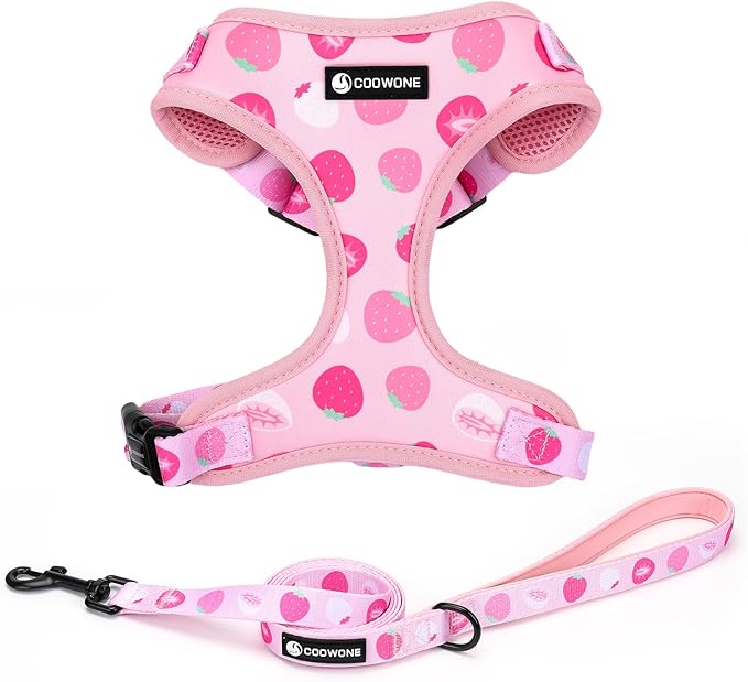 Dog Harness and Leash Set, Adjustable Dog Harness, Dog Leash, No Pull No Choke Puppy Harnesses for Walking Training for Small Medium Pet (Strawberries, M(Chest 15.7-22.1", Neck 12-15"))
