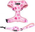 Dog Harness and Leash Set, Adjustable Dog Harness, Dog Leash, No Pull No Choke Puppy Harnesses for Walking Training for Small Medium Pet (Strawberries, L(Chest 18.5-27.1", Neck 14.5-20.1"))