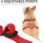PUPTECK Christmas Small Dog Harness and Leash Set, No Pull Adjustable Puppy Cat Harness, Reflective Soft Mesh Pet Vest Small Sized, Checkered, S