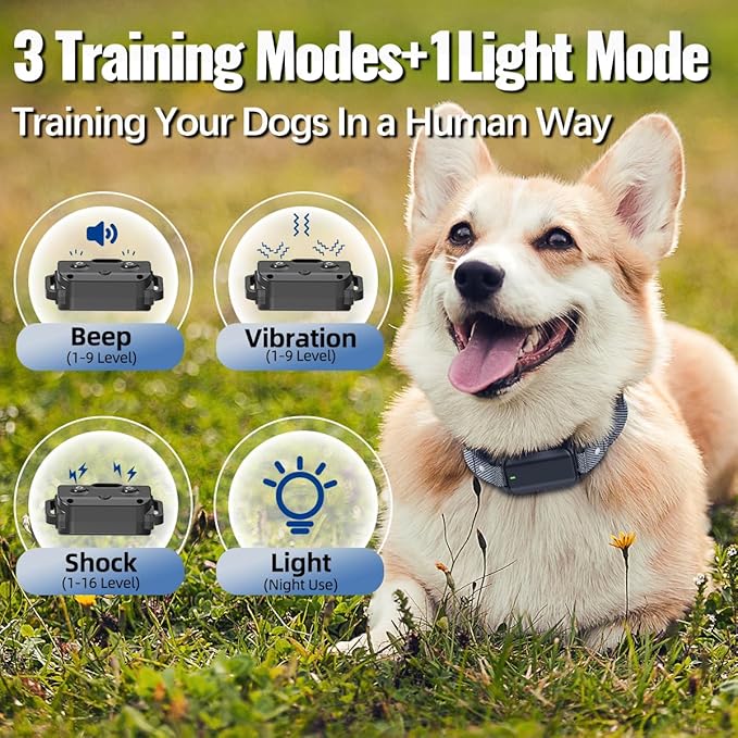 Dog Shock Collar with Remote Control Shock Collar for Dogs, 4 Training Modes Vibration, Beep, Shock, Flashlight IPX7 Waterproof Keypad Lock Rechargeable E-Collar for All Breed