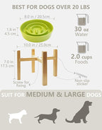 Ceramic Slow Feeder Dog Bowls Elevated, 2.0 Cups Slow Feeder for Medium Dogs, Puzzle Maze Bowl to Slow Down Eating, 30oz, 8in, Green
