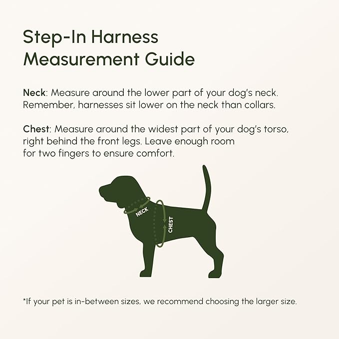 Downtown Pet Supply Step in Dog Harness for Large Dogs - Adjustable, Escape Proof Dog Harness with Reflective Trim - All-Weather, Fast-Drying Padded Mesh Fabric - Lilac, L