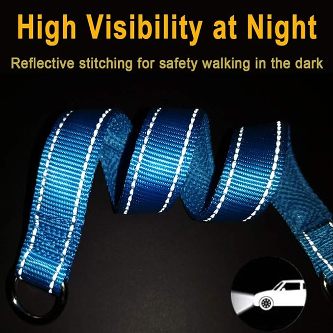 Reflective Slip Dog Collar, Loop Dog Collar with Soft Padded Training -Suitable for Dog Weight 20-38 lbs (5/8" W x 15.5" L, Teal)