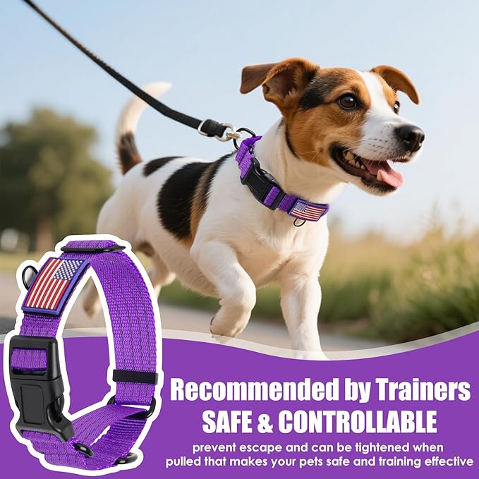 Martingale Dog Collar, Reflective No Pull Training Collar with Quick Release Buckle & USA Flag, Heavy-Duty Nylon, Adjustable for Small Medium Large Dogs (M,Purple