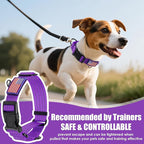 Martingale Dog Collar, Reflective No Pull Training Collar with Quick Release Buckle & USA Flag, Heavy-Duty Nylon, Adjustable for Small Medium Large Dogs (L,Purple with Flag