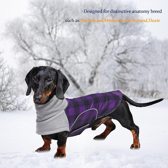 Dog Winter Coat,Dachshund Clothes,Waterproof Miniature Dachshund Jacket with Harness Hole,Dachshund Jumper with Turtle Neck,British Style-Purple Plaid-L