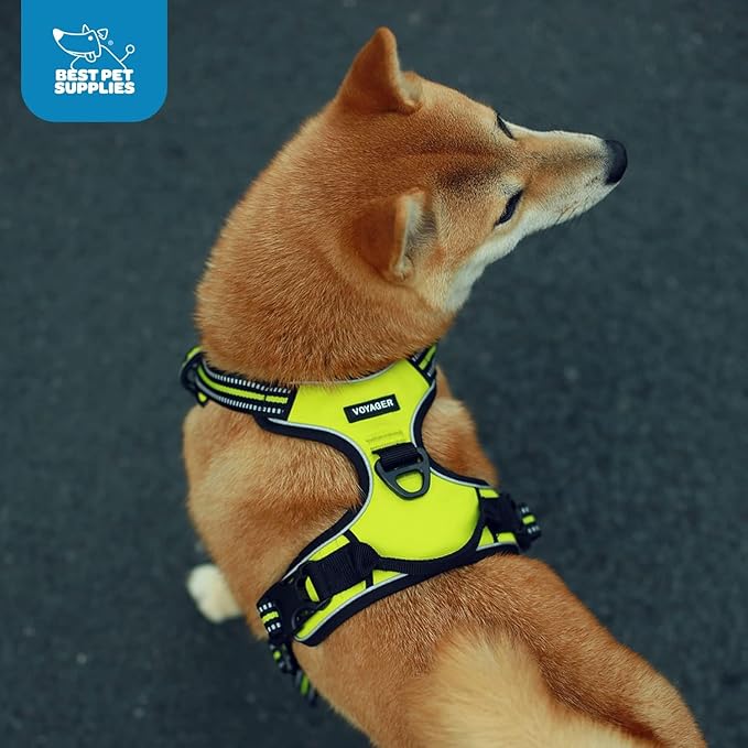 Voyager Dog Harness Dual Leash Attachment No-Pull Control Adjustable Soft but Strong Pet Harness for Medium and Large Dogs with 3M Reflective Technology, Turquoise Nylon, XL (Chest: 28-37")