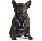 AMTOR Small Dog Harness with Leash Set, No Escape Easy Walk Puppy Harnesses for Training Walking, Step-in Reflective Soft Dogs Vest for XS S Medium Extra-Small Large Sized Dog(Blackwhite,S)