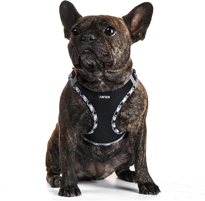 AMTOR Small Dog Harness with Leash Set, No Escape Easy Walk Puppy Harnesses for Training Walking, Step-in Reflective Soft Dogs Vest for XS S Medium Extra-Small Large Sized Dog(Blackwhite,S)
