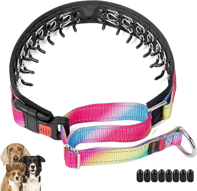 Mayerzon Martingale Prong Collar for Dogs, Patented No Pull Pinch Collar with American Flag and Buckle for Small Medium Large Dogs Training Walking Hunting, Adjustable and Heavy Duty(XL, Rainbow)
