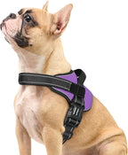 rabbitgoo Dog Harness Small Sized, No Pull No Choke Pet Vest, Easy Wearing with One Buckle, Reflective, Adjustable Pet Harness with Molle for Walking, Training, Purple, S