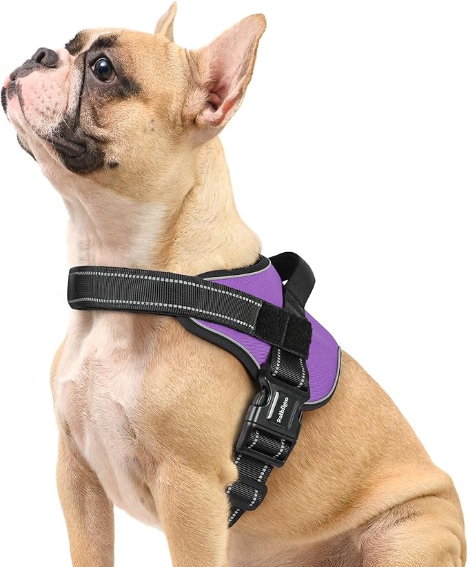 rabbitgoo Dog Harness Small Sized, No Pull No Choke Pet Vest, Easy Wearing with One Buckle, Reflective, Adjustable Pet Harness with Molle for Walking, Training, Purple, S