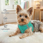Joytale Small Dog Harness, Breathable Mesh Step-in Vest, Reflective Soft Padded Harnesses Small Sized Dog for Walking, Teal, S