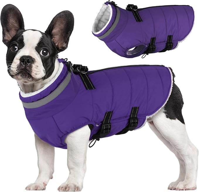 Mklhgty Medium Dog Coat with Harness Built-in, Waterproof Reflective Fleece Lined - Warm Windproof Winter Jacket with Back Zipper, Cold Weather Snow Dog Coats - Purple - M
