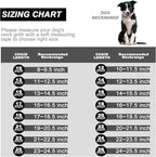 Dog Chain Collar Walking Collar with Design Secure Buckle 19MM Black Cuban Link Strong Heavy Duty Chew Proof Chain(19MM, 10")