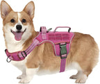 Small Dog Harness, Heavy Duty Tactical No Pull Dog Harness, No Choke, Easy On and Off Pet Vest with Molle System, Adjustable Reflective Dog Vest with Breathable Padded for Walking Hiking Training