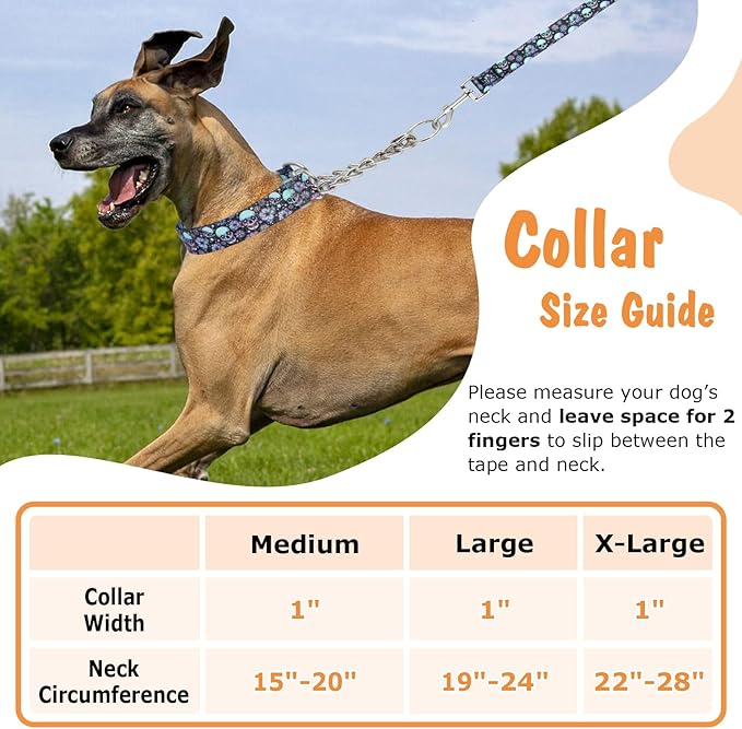 Martingale Dog Collar with Stainless Steel Chain, No Pull Slip Cinch Choker Choke Collar Training Escape Proof Heavy Duty Dog Collar for Medium Large Extra Large Pet Boy Male Dogs, Blue M