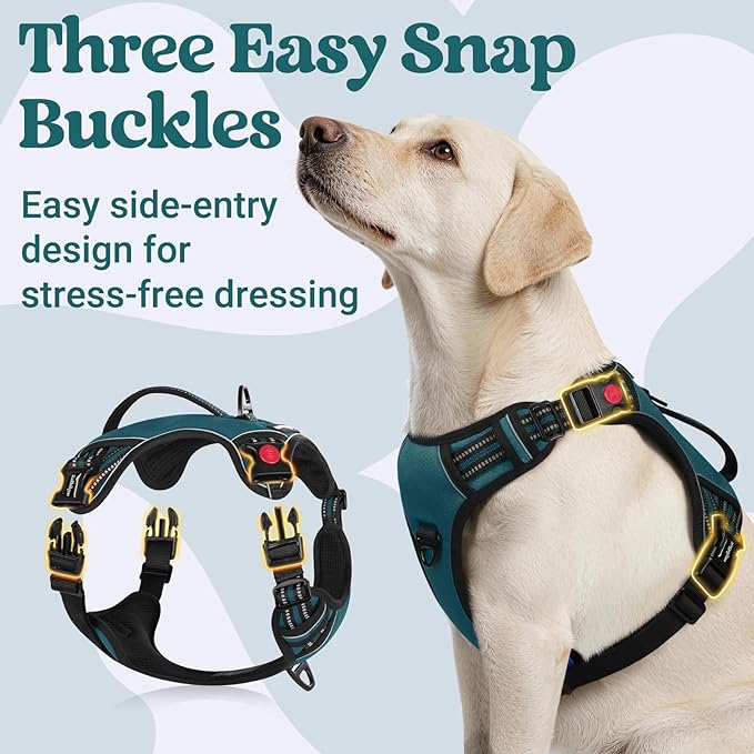 rabbitgoo Dog Harness for Large Dogs, No Pull Pet Harness with Soft Padded Handle, Adjustable Reflective Vest with 3 Buckles, Easy Walking Harness with 2 Leash Clips, Green, L